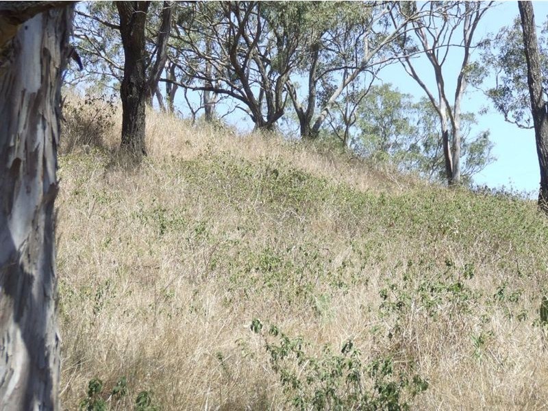 10 Claudia Court, Top Camp QLD 4350