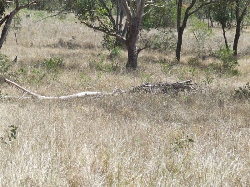 10 Claudia Court, Top Camp QLD 4350