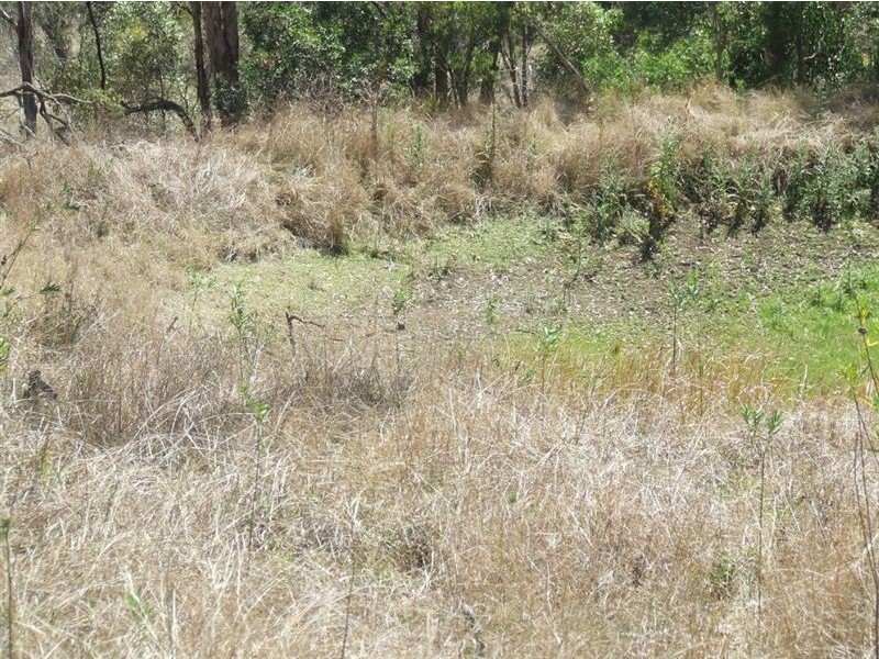 10 Claudia Court, Top Camp QLD 4350