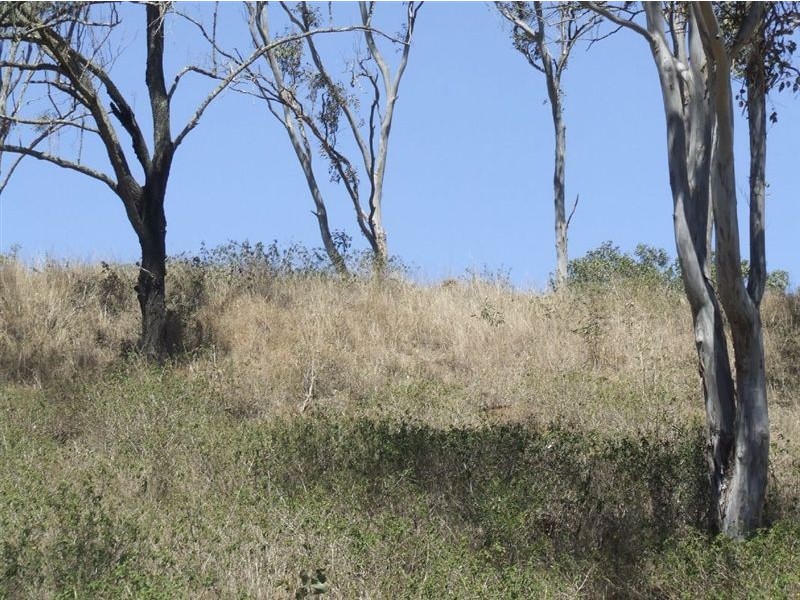 10 Claudia Court, Top Camp QLD 4350