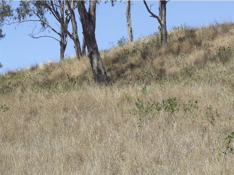 10 Claudia Court, Top Camp QLD 4350