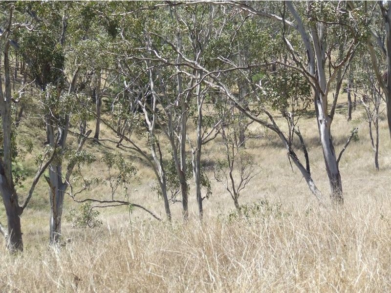 10 Claudia Court, Top Camp QLD 4350