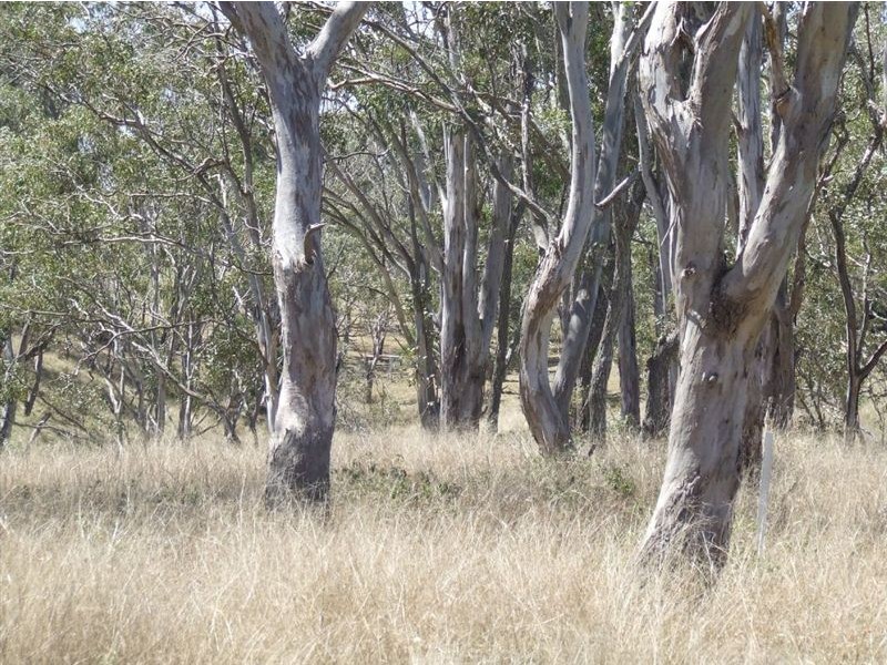 10 Claudia Court, Top Camp QLD 4350