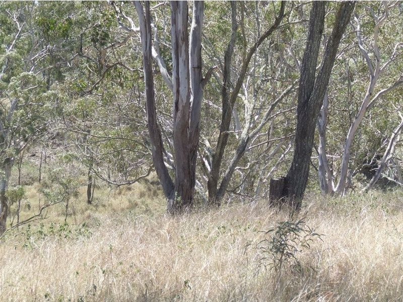 10 Claudia Court, Top Camp QLD 4350