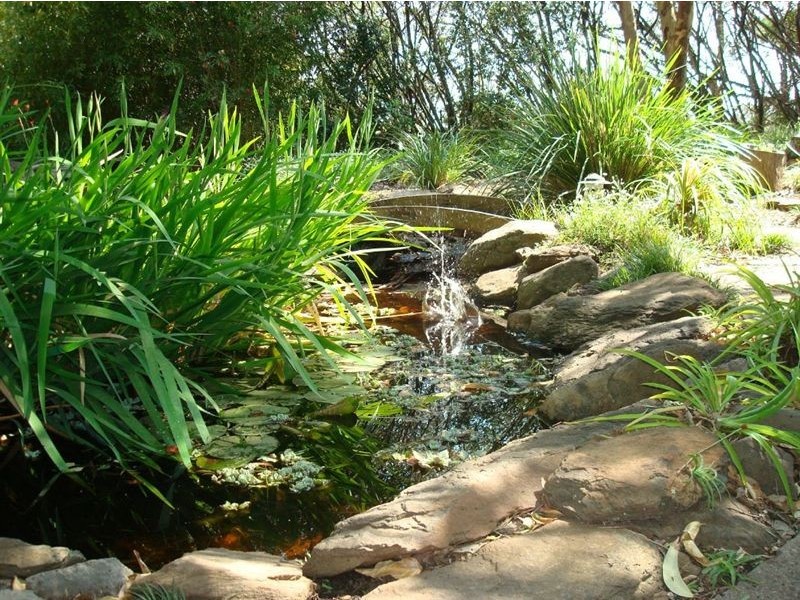 500 Hodgson Vale Road, Hodgson Vale QLD 4352