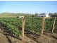 186 Ingoldsby Road, Upper Tenthill QLD 4343