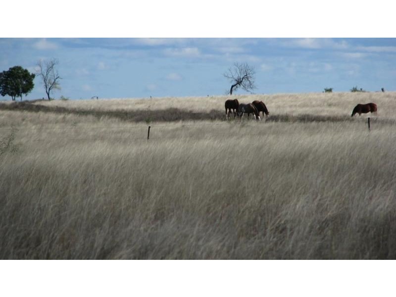 632 Scrubby Rd, Pittsworth QLD 4356