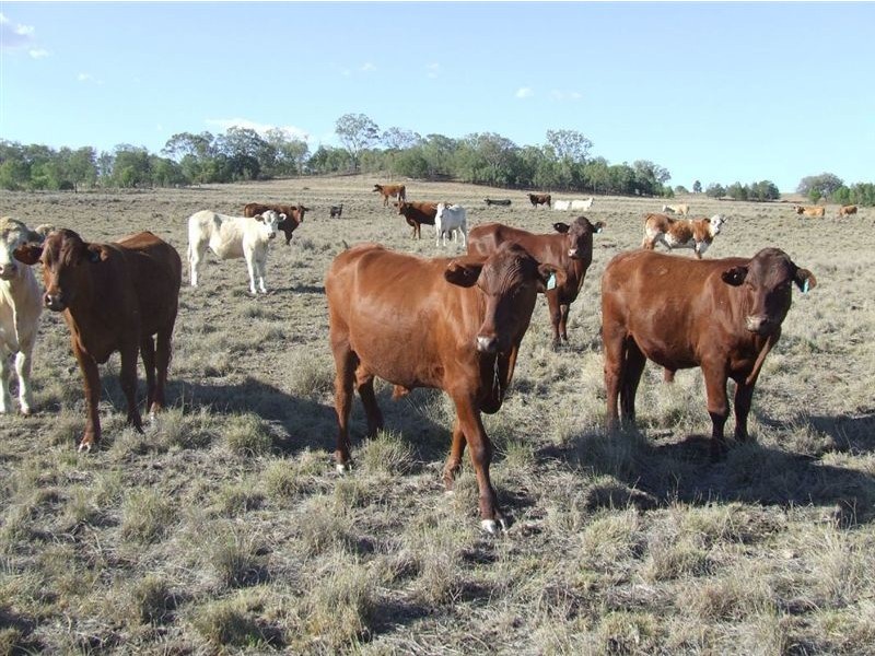 160 Acres “Springside Heights”, Toowoomba QLD 4350
