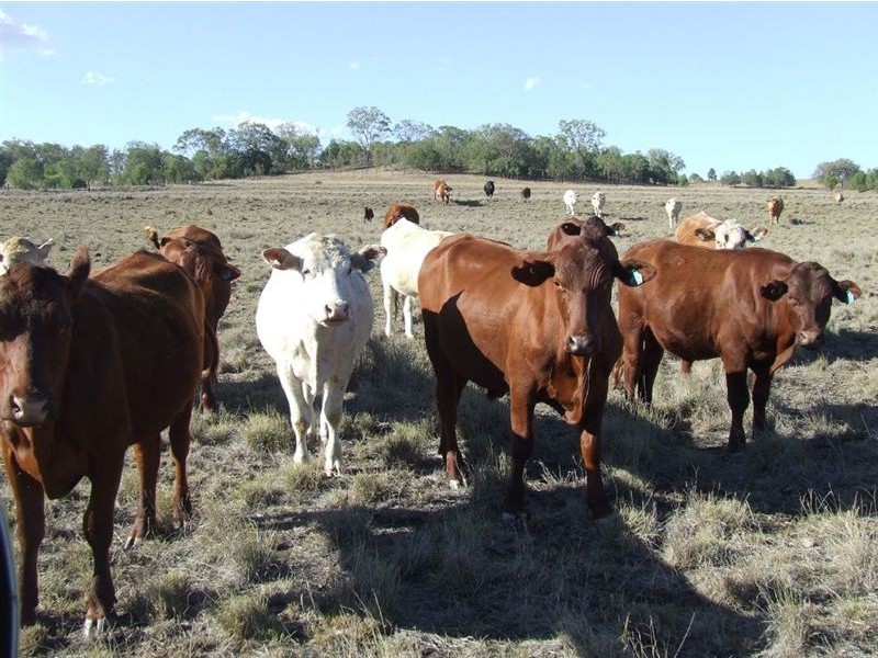 160 Acres “Springside Heights”, Toowoomba QLD 4350