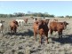 160 Acres “Springside Heights”, Toowoomba QLD 4350