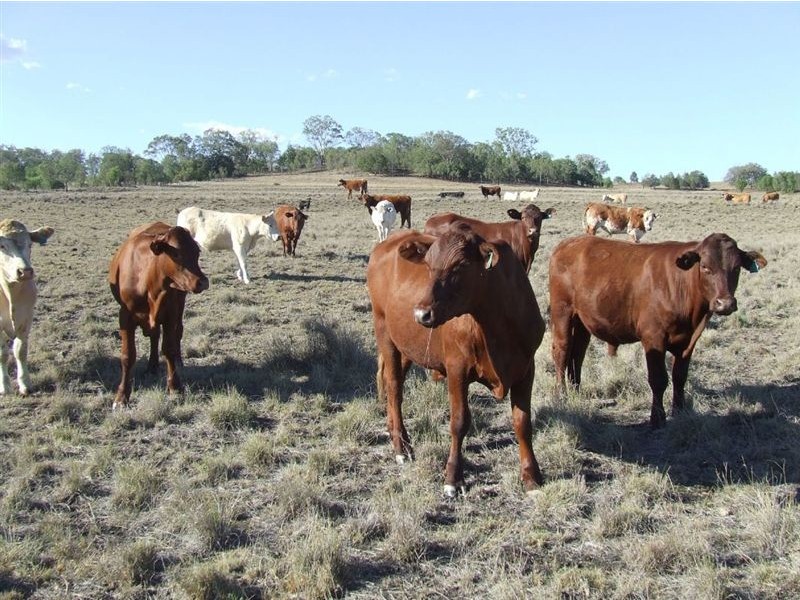160 Acres “Springside Heights”, Toowoomba QLD 4350