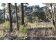 1816 Acres “Limestone”, Texas NSW 4385