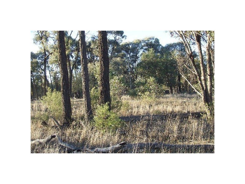 1816 Acres “Limestone”, Texas NSW 4385