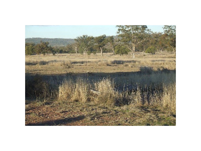 1816 Acres “Limestone”, Texas NSW 4385
