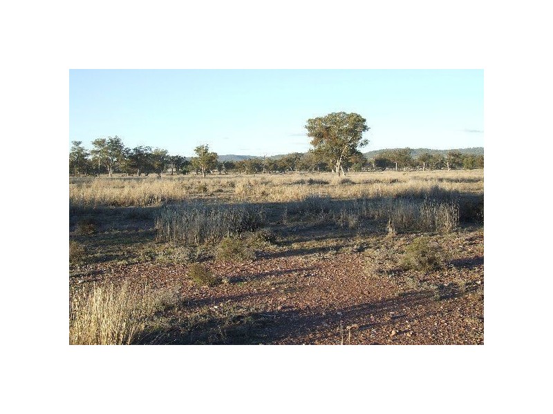1816 Acres “Limestone”, Texas NSW 4385