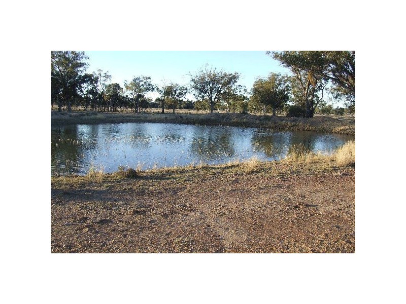1816 Acres “Limestone”, Texas NSW 4385