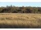1816 Acres “Limestone”, Texas NSW 4385