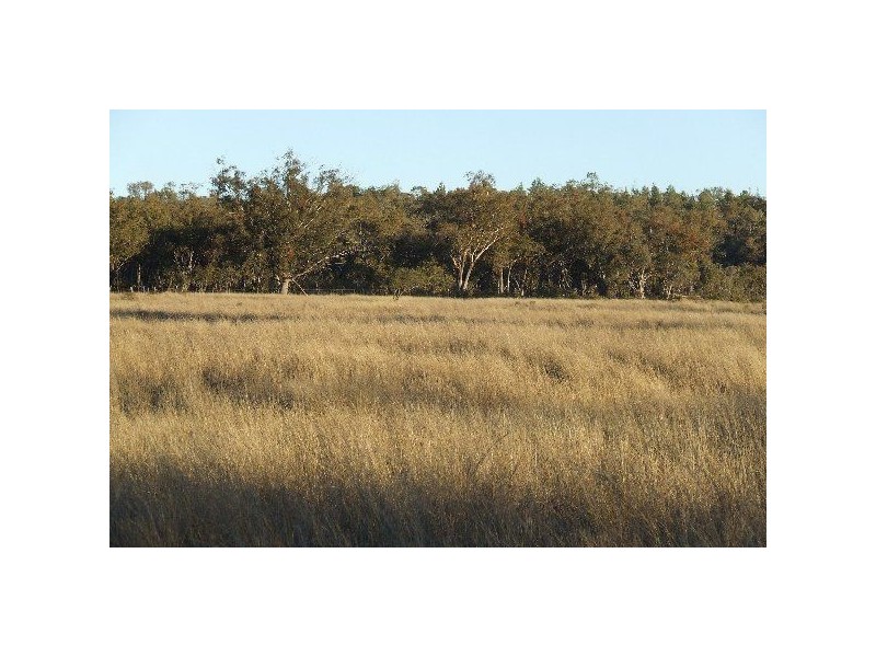 1816 Acres “Limestone”, Texas NSW 4385