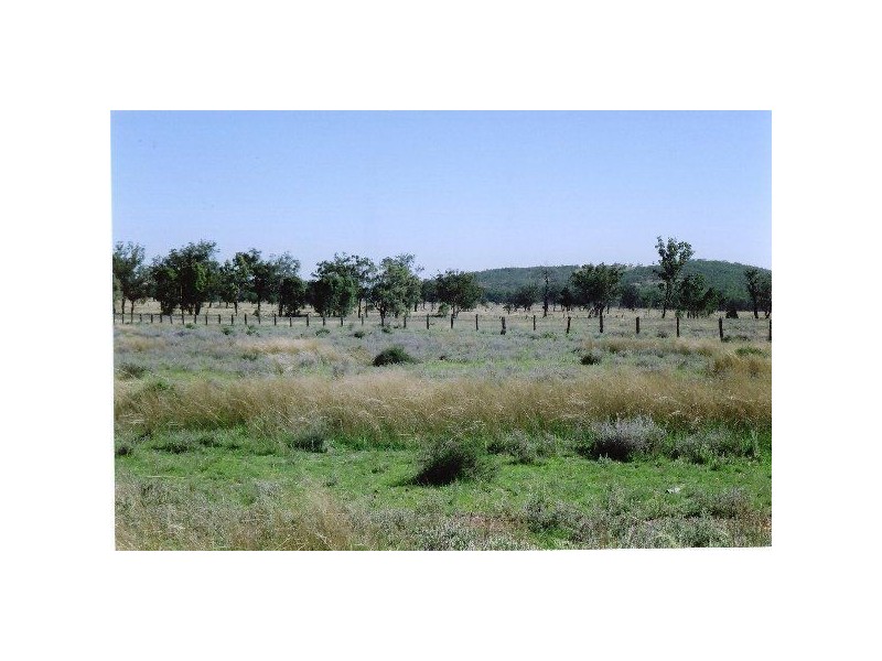 1816 Acres “Limestone”, Texas NSW 4385