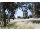 1816 Acres “Limestone”, Texas NSW 4385