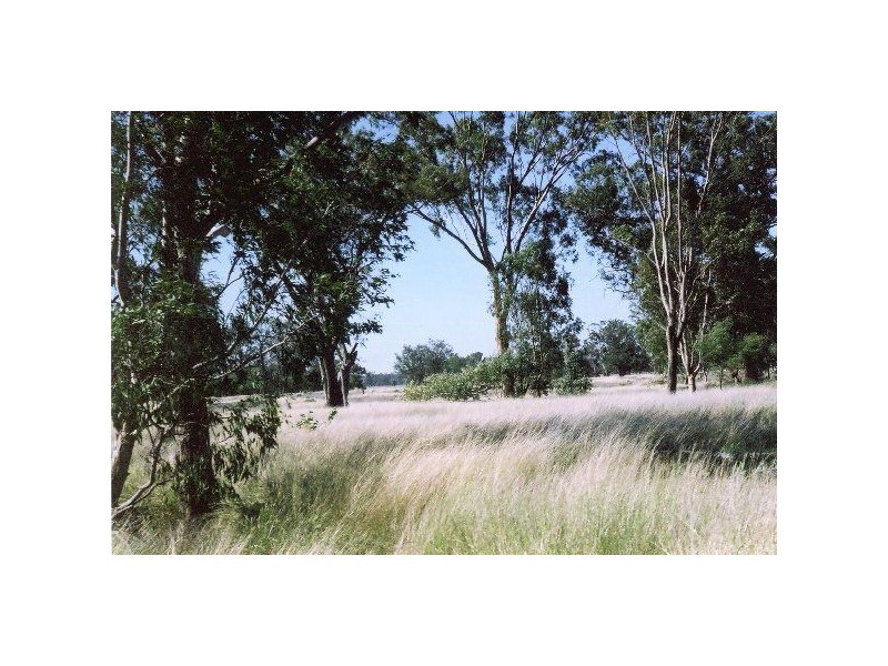 1816 Acres “Limestone”, Texas NSW 4385