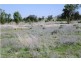 1816 Acres “Limestone”, Texas NSW 4385
