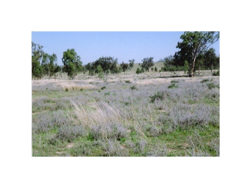 1816 Acres “Limestone”, Texas NSW 4385