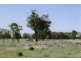 1816 Acres “Limestone”, Texas NSW 4385