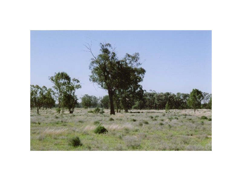 1816 Acres “Limestone”, Texas NSW 4385