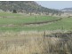 220 Acres “Hill View”, Toowoomba QLD 4350