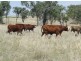 220 Acres “Hill View”, Toowoomba QLD 4350