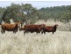 220 Acres “Hill View”, Toowoomba QLD 4350