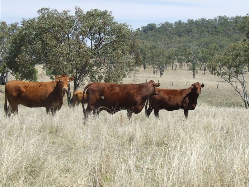 220 Acres “Hill View”, Toowoomba QLD 4350