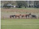 86 Acres “Ivy Bank”, Toowoomba QLD 4350
