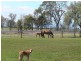86 Acres “Ivy Bank”, Toowoomba QLD 4350