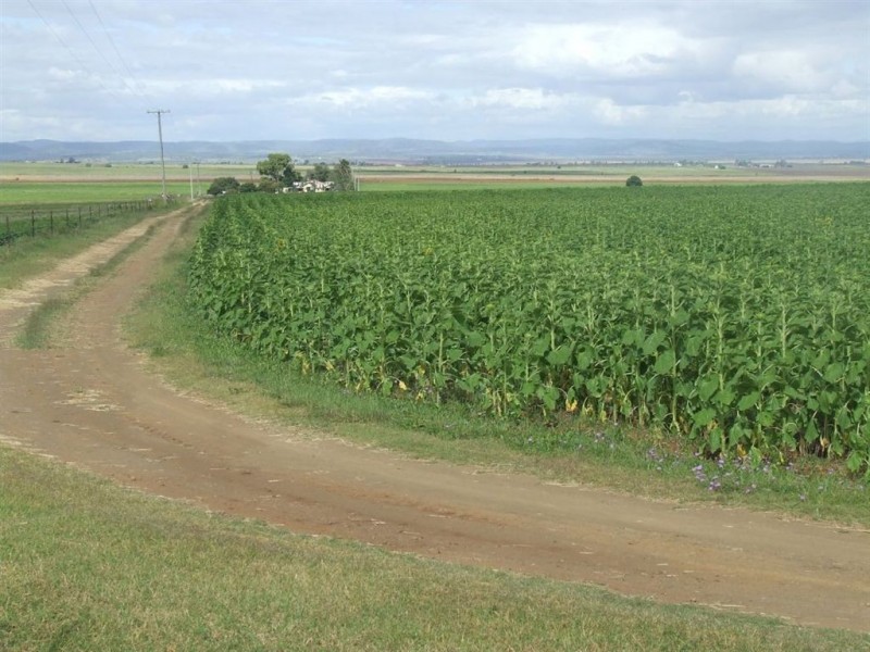 98 Venz Road, Nobby QLD 4360