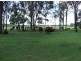 639 Heckendorf Road, Millmerran QLD 4357