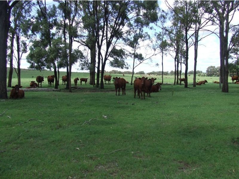 639 Heckendorf Road, Millmerran QLD 4357