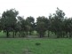 639 Heckendorf Road, Millmerran QLD 4357