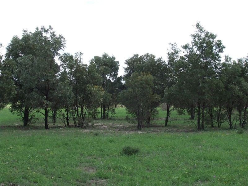 639 Heckendorf Road, Millmerran QLD 4357