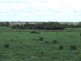 639 Heckendorf Road, Millmerran QLD 4357