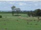 639 Heckendorf Road, Millmerran QLD 4357