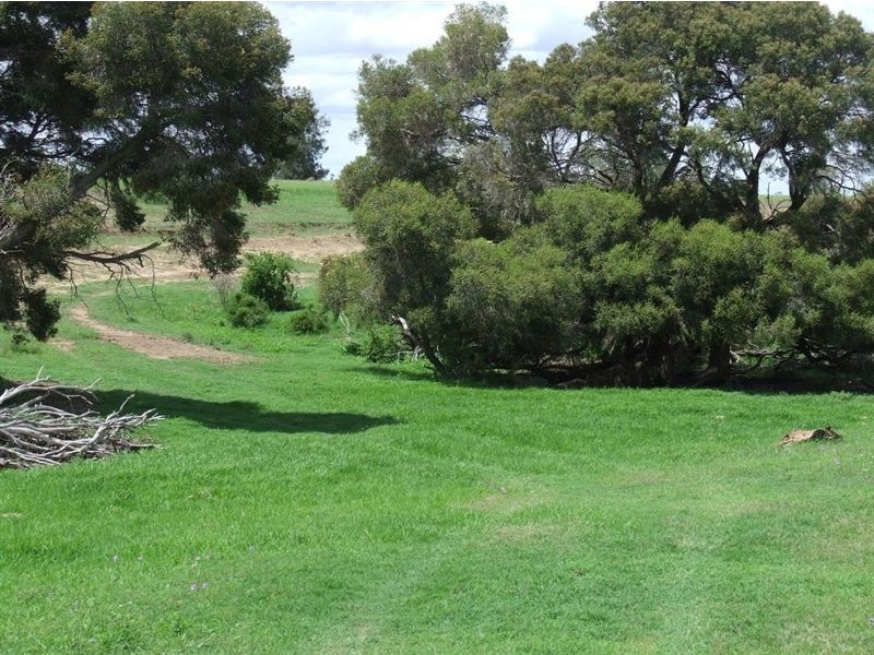 639 Heckendorf Road, Millmerran QLD 4357