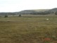 Lot 3  55 Wyreema Road, Drayton QLD 4350