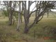 Lot 3  55 Wyreema Road, Drayton QLD 4350