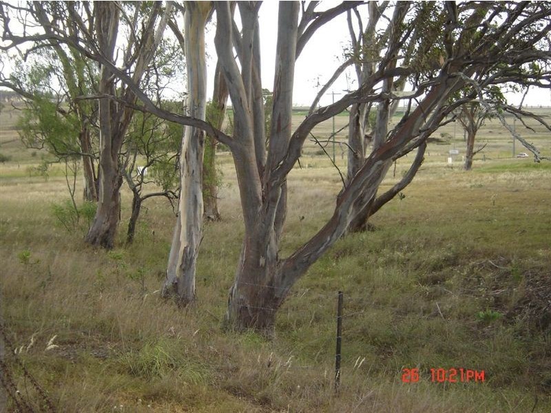 Lot 3  55 Wyreema Road, Drayton QLD 4350