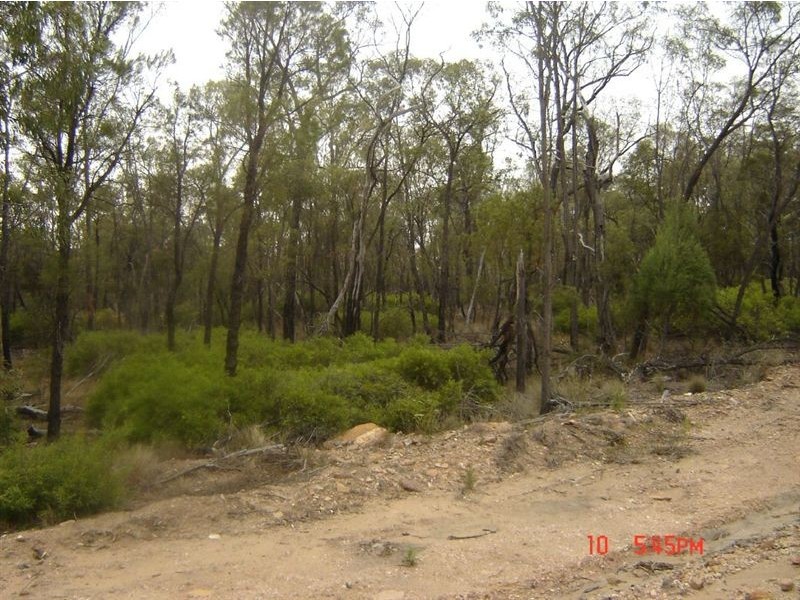 - Cabbage Gum Road, Millmerran QLD 4357
