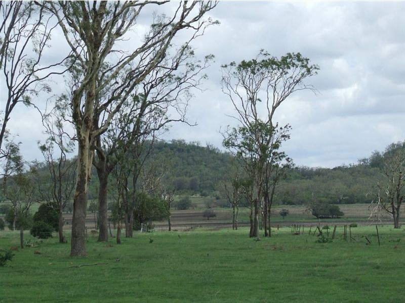 - Side Street, Mount Tyson QLD 4356