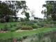 90 Nicholson Road, Stanthorpe QLD 4380