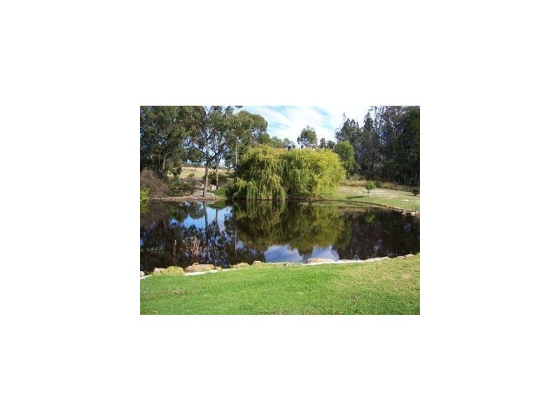 90 Nicholson Road, Stanthorpe QLD 4380